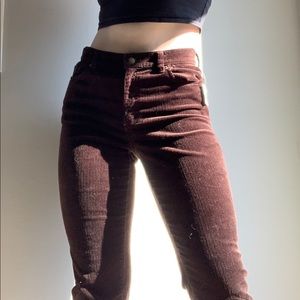 Polo Ralph Lauren Brown Corduroys